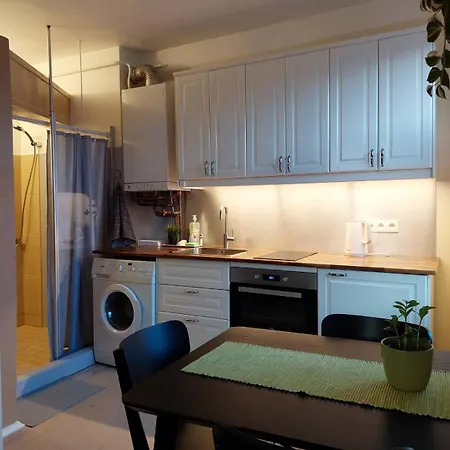 Kibuvitsa Apartment Tallinn