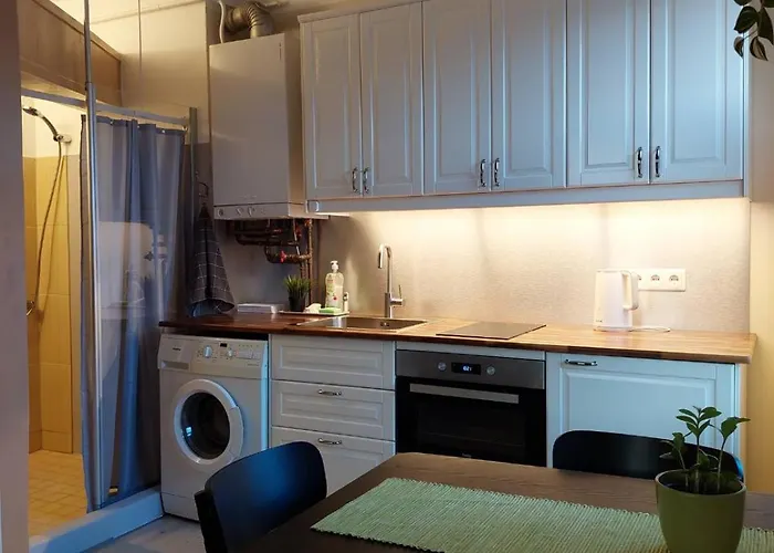 Kibuvitsa Apartment Tallinn