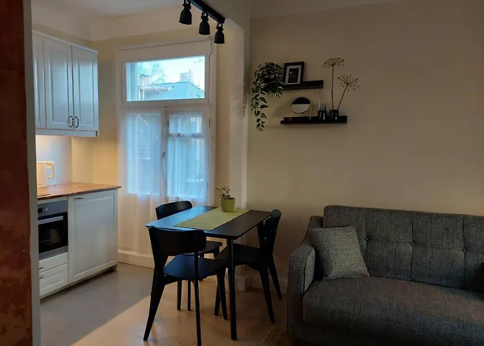 Kibuvitsa 公寓 塔林